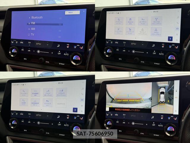 Lexus RX 2023-07 7251381-21