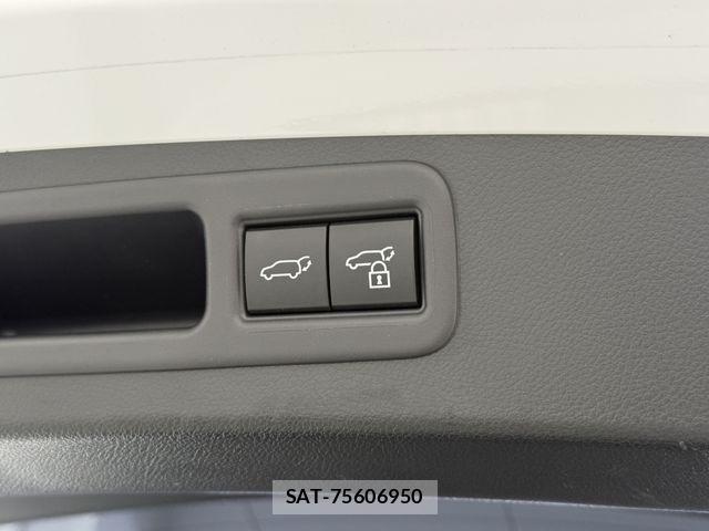 Lexus RX 2023-07 7251381-6