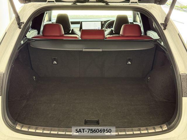 Lexus RX 2023-07 7251381-7