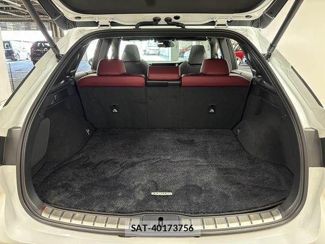 Lexus RX 2023-04 7251375-12