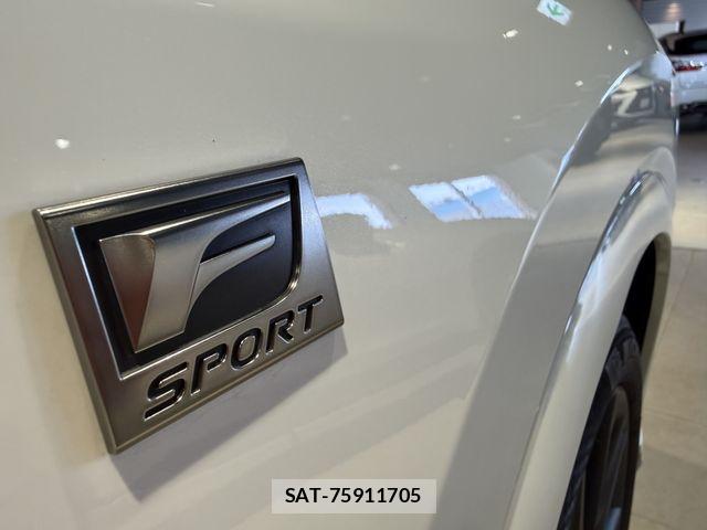 Lexus RX 2023-10 7328118-23