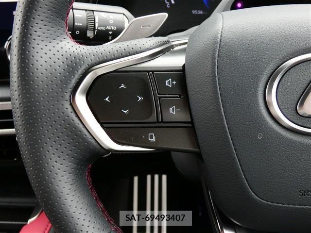 Lexus RX 2024-03 7328107-13