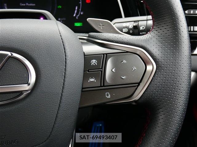 Lexus RX 2024-03 7328107-15