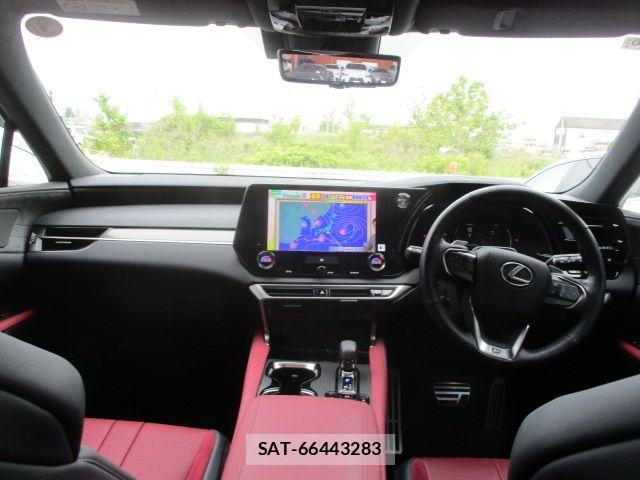 Lexus RX 2024-06 7328108-11