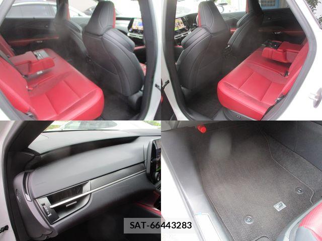Lexus RX 2024-06 7328108-18