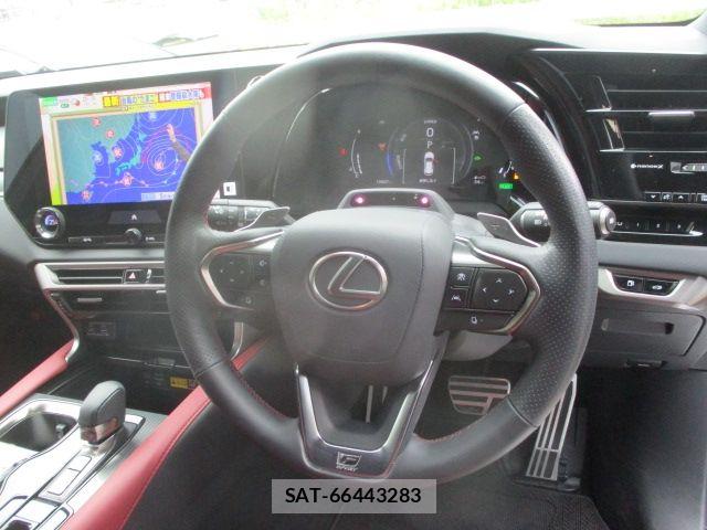 Lexus RX 2024-06 7328108-21
