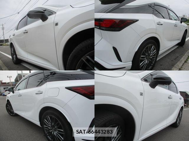 Lexus RX 2024-06 7328108-5