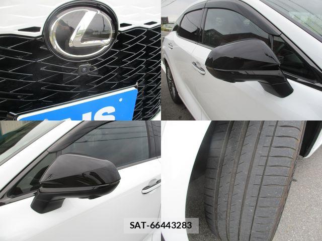 Lexus RX 2024-06 7328108-6