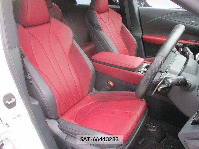 Lexus RX 2024-06 7328108-8