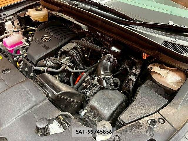 Lexus RX 2023-09 7358578-13