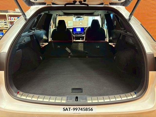 Lexus RX 2023-09 7358578-19