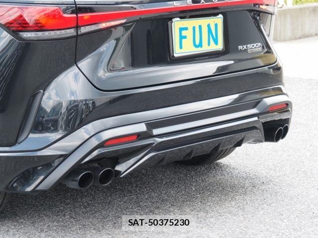 Lexus RX 2023-01 7455486-8