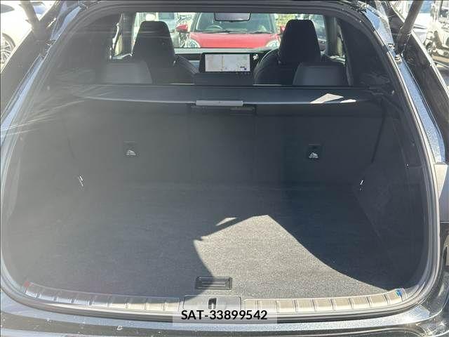 Lexus RX 2023-04 7455487-13