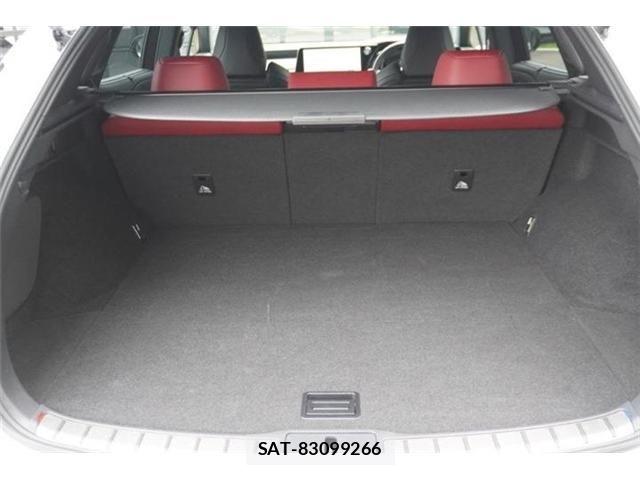 Lexus RX 2023-05 7509090-6