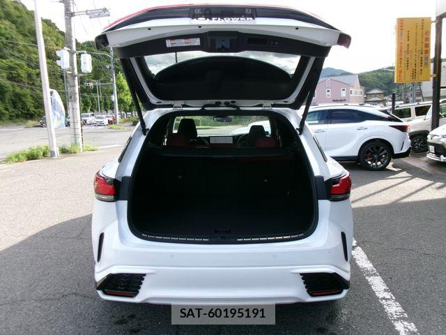 Lexus RX 2023-06 7617758-8
