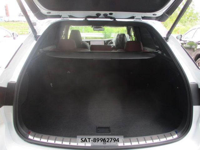 Lexus RX 2023-06 7725215-12