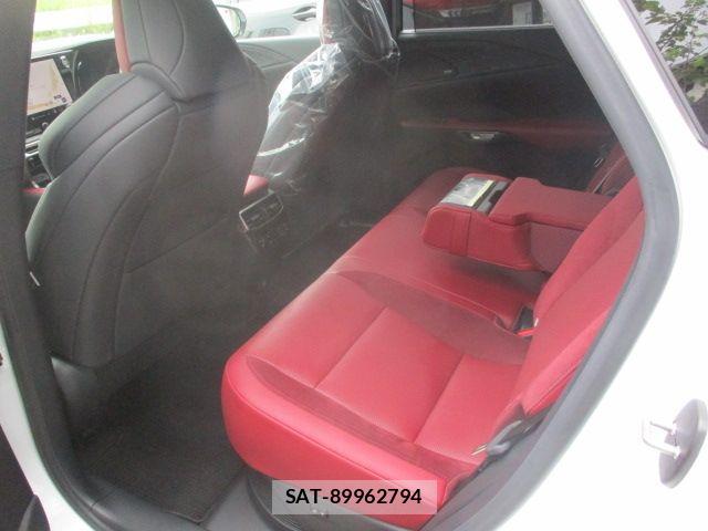 Lexus RX 2023-06 7725215-13