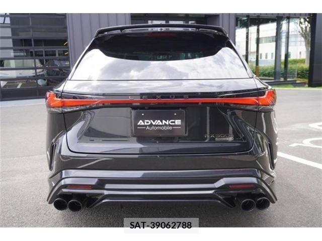 Lexus RX 2023-09 7725213-10
