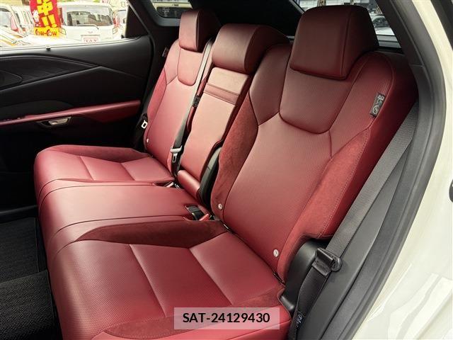 Lexus RX 2023-10 7725219-18