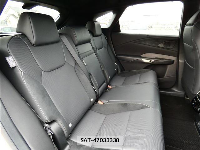 Lexus RX 2024-08 7725217-29