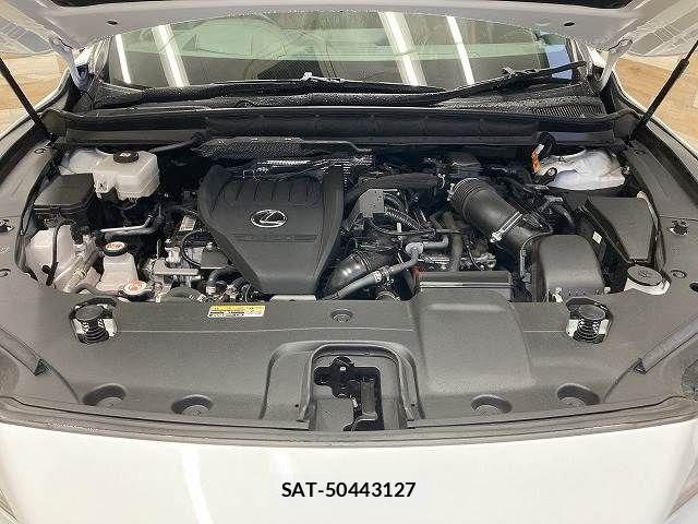 Lexus RX 2023-01 7725216-17