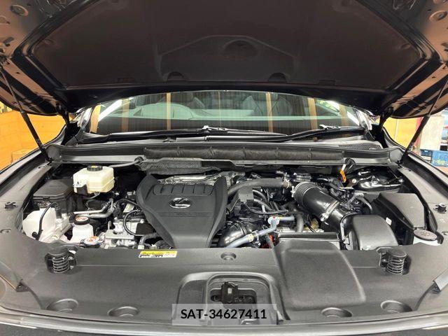 Lexus RX 2023-07 7725218-18