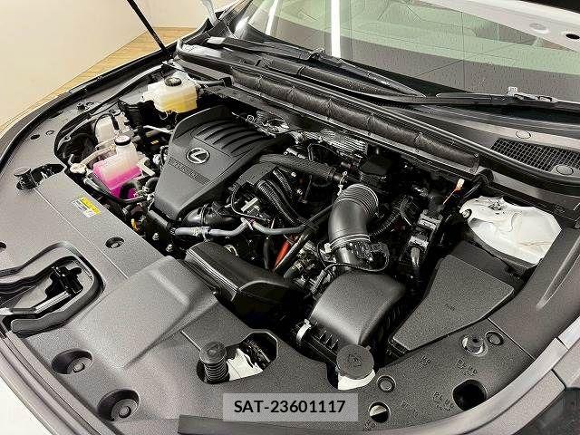 Lexus RX 2023-06 7962475-17