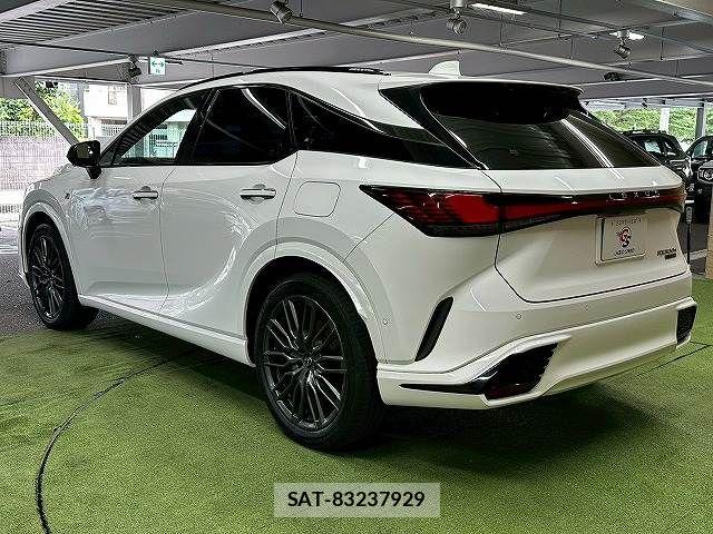 Lexus RX 2023-07 7962476-16