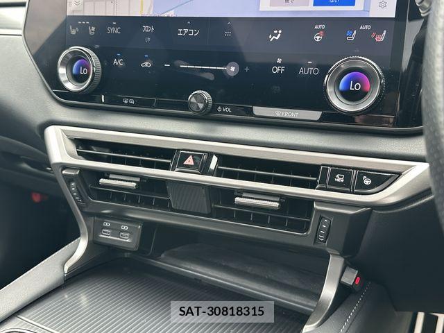 Lexus RX 2023-09 7979810-9