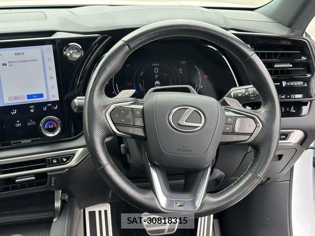 Lexus RX 2023-09 7979810-14