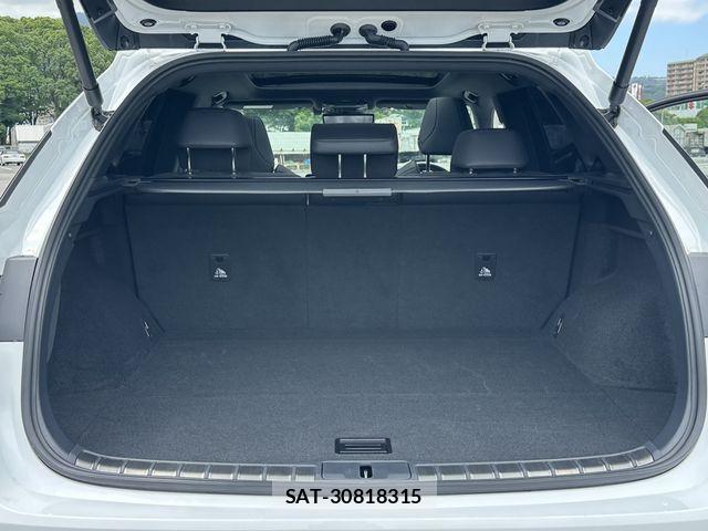 Lexus RX 2023-09 7979810-18