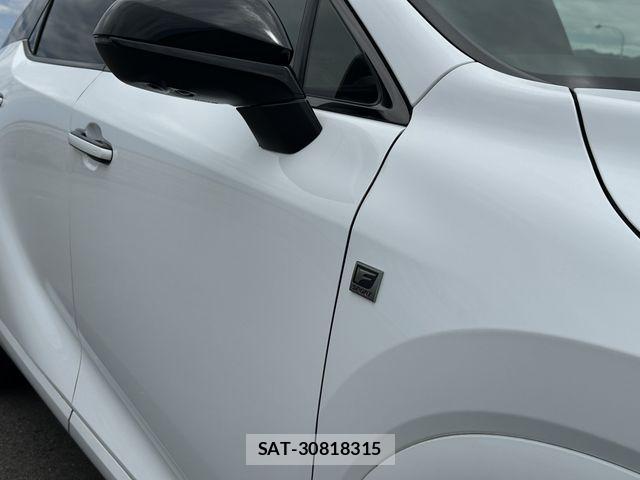 Lexus RX 2023-09 7979810-28