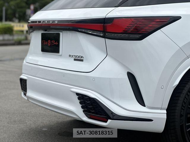 Lexus RX 2023-09 7979810-29