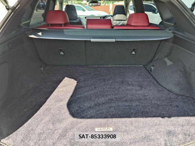 Lexus RX 2023-05 7979811-24