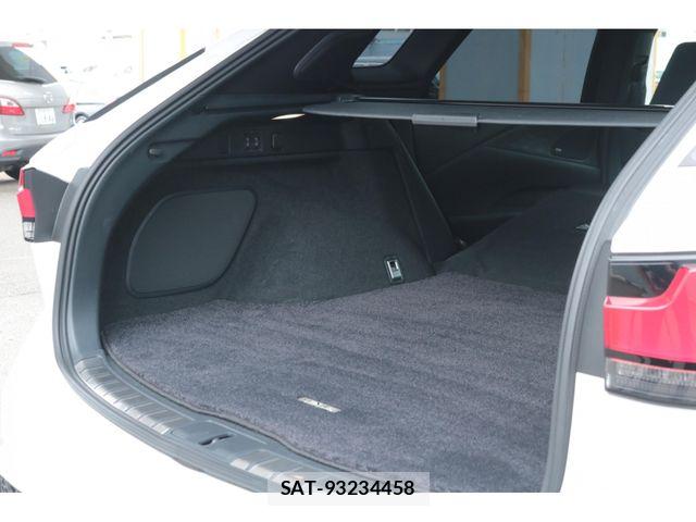 Lexus RX 2024-02 8036498-28