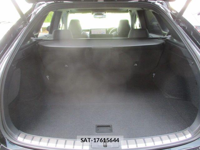 Lexus RX 2024-05 8036499-13