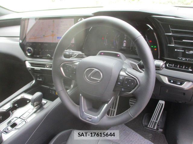 Lexus RX 2024-05 8036499-20