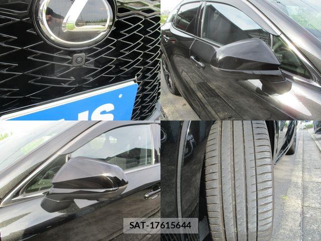 Lexus RX 2024-05 8036499-7