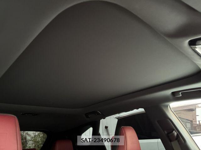 Lexus RX 2023-10 8036497-19