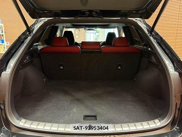 Lexus RX 2023-05 8074415-19