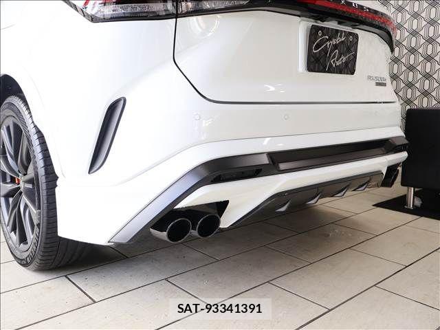 Lexus RX 2024-05 8074412-8
