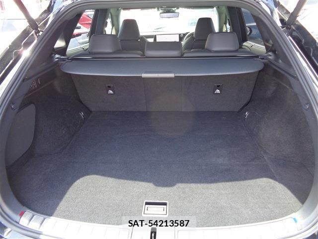 Lexus RX 2023-06 8074414-17