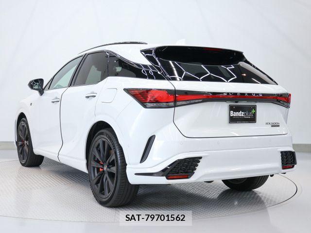 Lexus RX 2024-10 8100223-5