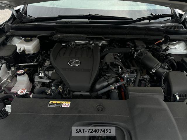 Lexus RX 2023-08 8100218-19