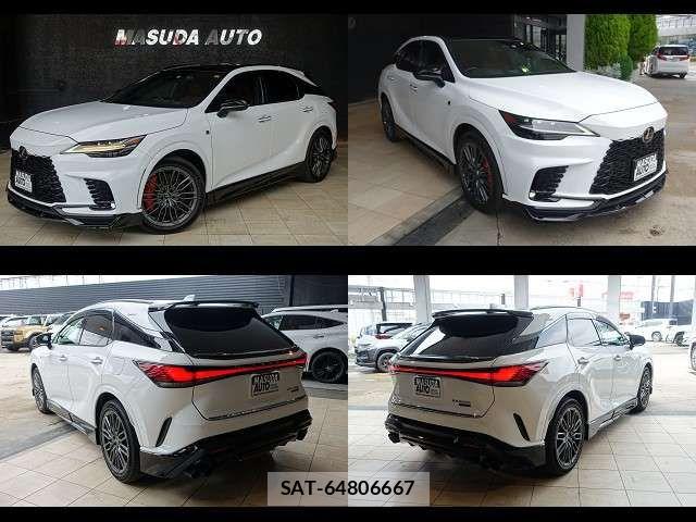 Lexus RX 2023-03 8131067-16