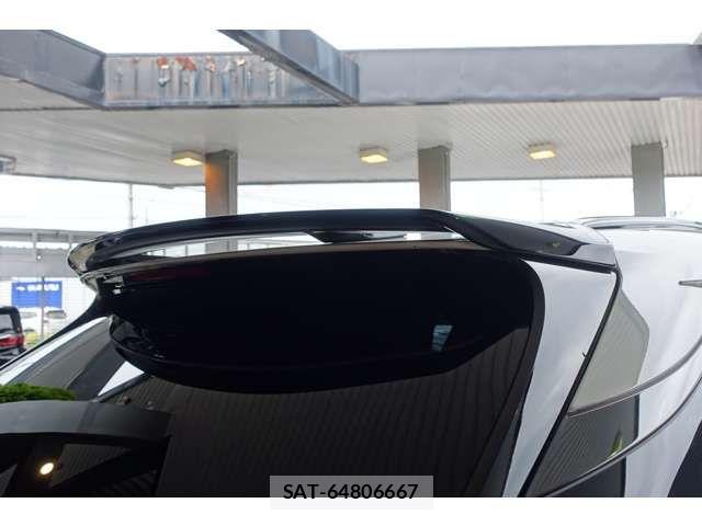 Lexus RX 2023-03 8131067-2