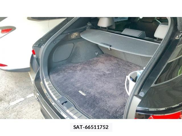 Lexus RX 2024-05 8131068-14