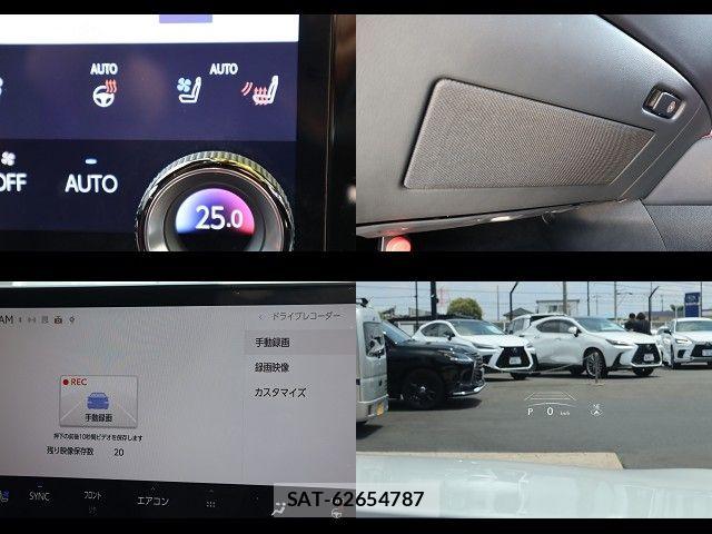 Lexus RX 2024-02 8131066-21