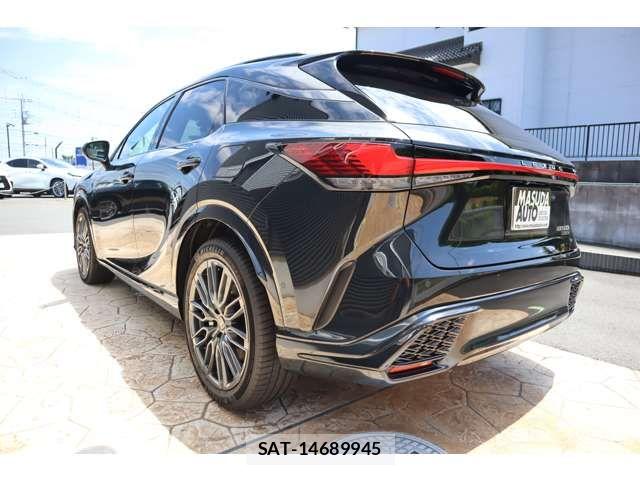 Lexus RX 2023-08 8230661-4