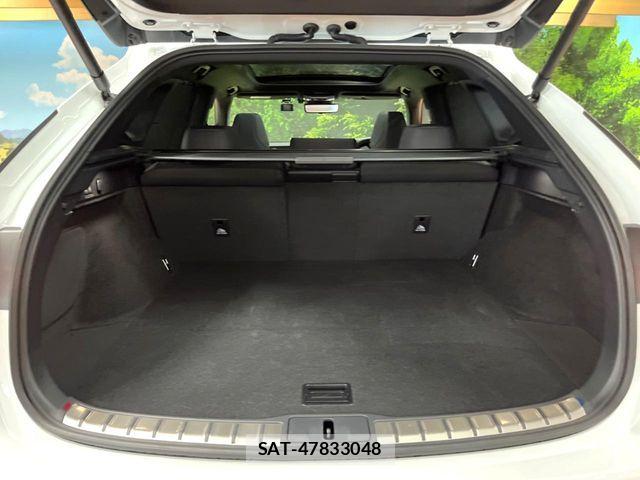 Lexus RX 2023-03 8245775-9
